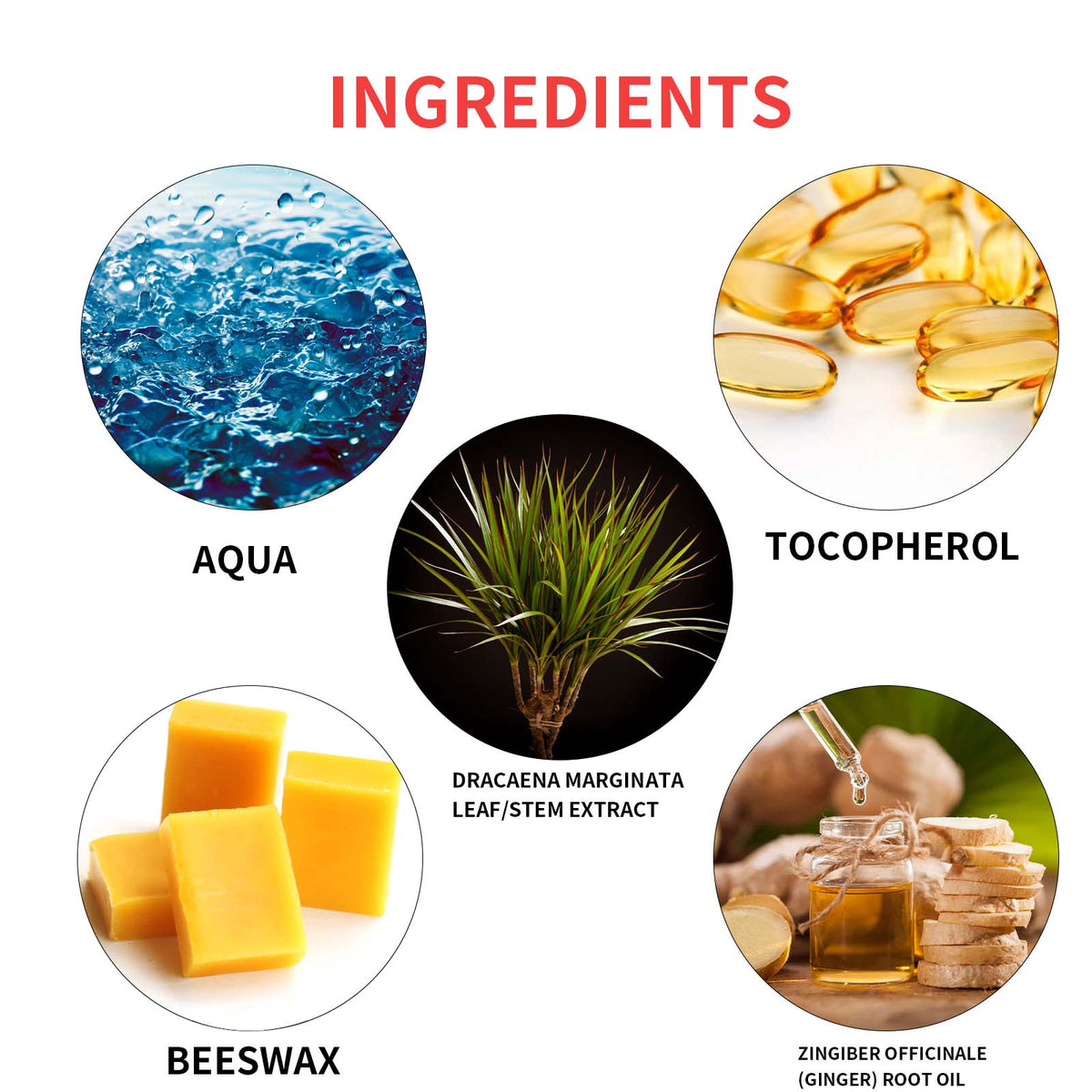 Luxury Lip Rejuvenation Bubble Mask – Beeswax & Ginger Root Exfoliating Lip Treatment